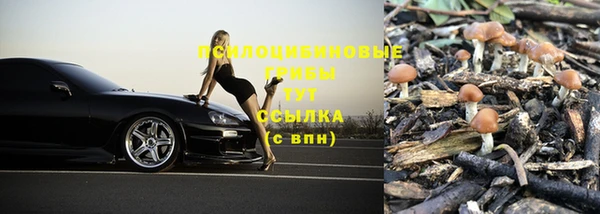 ALPHA-PVP Новый Уренгой