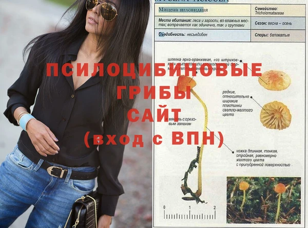 кристаллы Заволжье