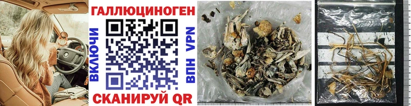 Галлюциногенные грибы Magic Shrooms  наркошоп  Курчалой 