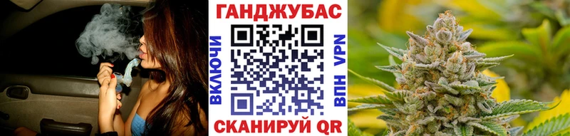 МАРИХУАНА ГИДРОПОН  Курчалой 